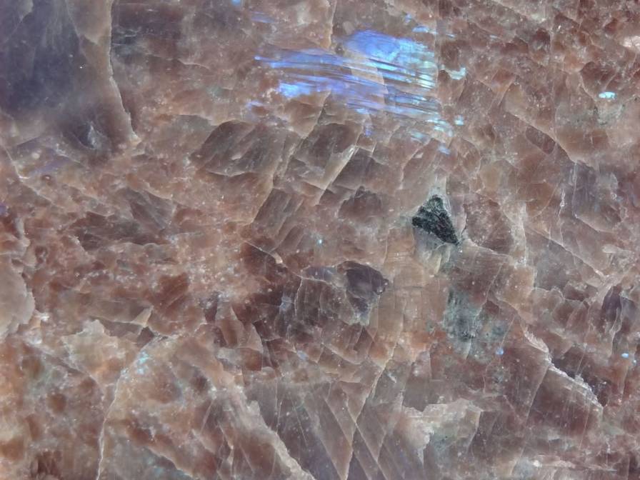 pn-0094_labradorstein-hc3a5